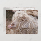 Carte Postale Rude de Goat (Devant / Derrière)