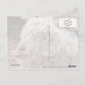 Carte Postale Rude de Goat (Dos)