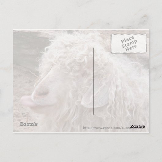 Carte Postale Rude de Goat (Dos)