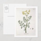 Carte Postale Rue de "Phytographie Medicale" de Joseph Roques (Devant / Derrière)