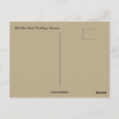 Carte Postale Rue de Sidi Bou Said Carthage Tunisie (Dos)