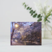 Carte Postale Rue d'hiver (Debout devant)