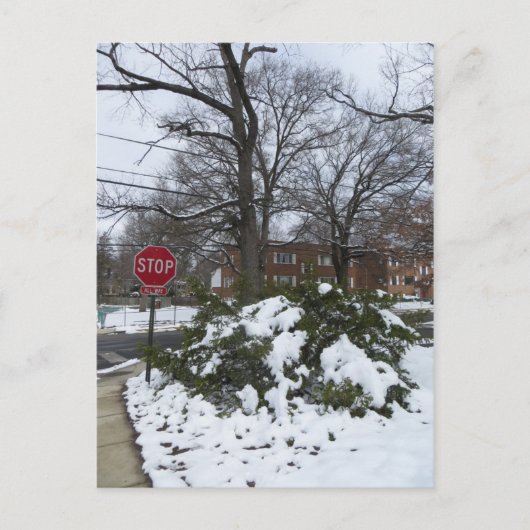 Carte Postale Rue enneigée (Devant)