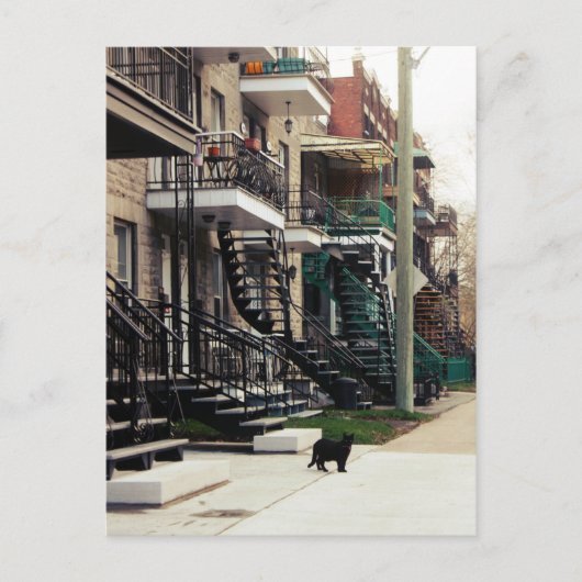 Carte Postale Rue la fontaine (Devant)