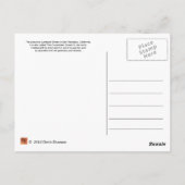 Carte Postale Rue Lombardi à San Fransico (Dos)