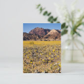 Carte Postale Ruée vers l'or (Debout devant)