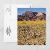 Carte Postale Ruée vers l'or (Devant / Derrière)