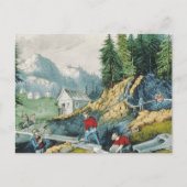 Carte Postale Ruée vers l'or en Californie (Devant)