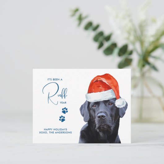 Carte Postale Ruff Année en revue Fundy Labrador Retriever Chien (Debout devant)