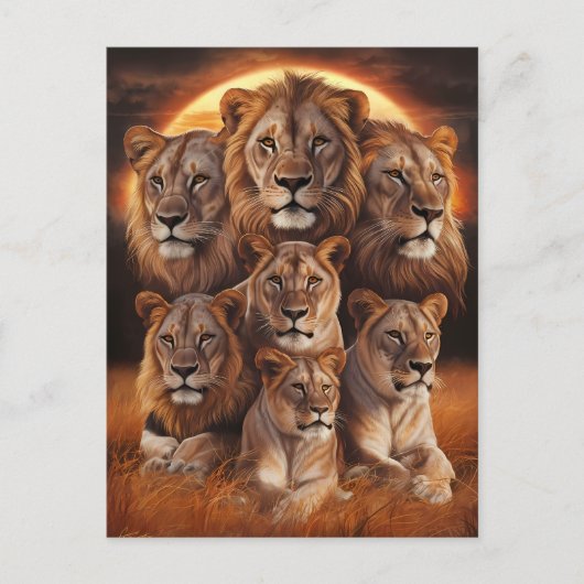 Carte Postale Rugissement de la nuit : Lions au clair de lune (Devant)