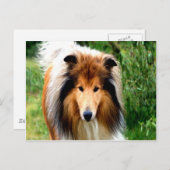 Carte Postale rugueux collie chien se mouvoir d'aimer (Devant / Derrière)