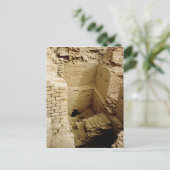 Carte Postale Ruine de palais (Debout devant)