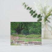 Carte Postale Ruines de Jamestown (Debout devant)