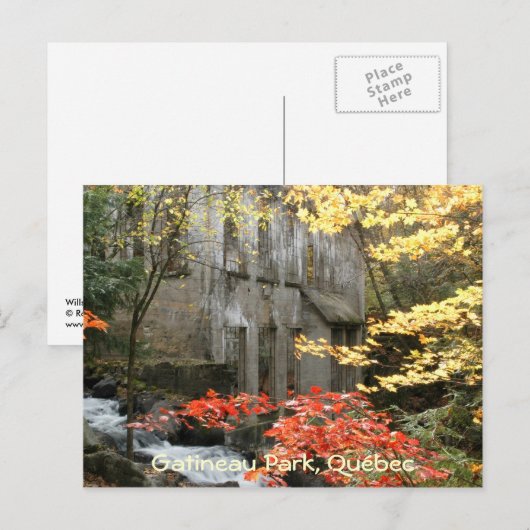 Carte Postale Ruines de Willson, Québec. (Devant / Derrière)