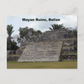 Carte Postale Ruines mayas, Belize (Devant)