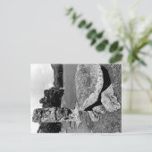 Carte Postale Ruines mayas de la tortue cosmique de Copan (Debout devant)