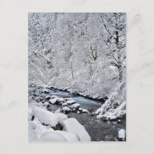 Carte Postale ruisseau blanc enneigé pittoresque, Oregon