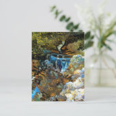 CARTE POSTALE RUISSEAU CASCADE (Debout devant)