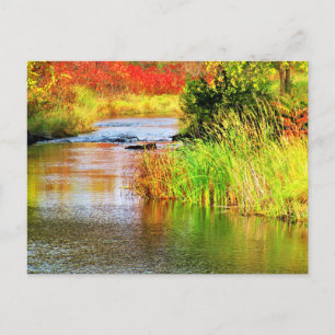Carte Postale Ruisseau de la Brasserie par une journée ensoleill
