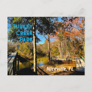 Carte Postale Ruisseau de la dinde Niceville Floride