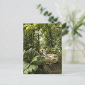 Carte Postale ruisseau en forêt tropicale, Dominique (Debout devant)
