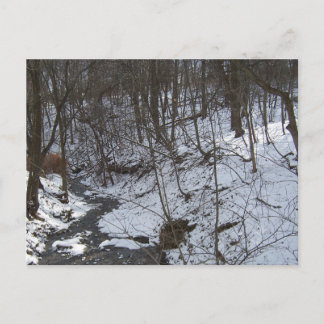 Carte Postale Ruisseau enneigé