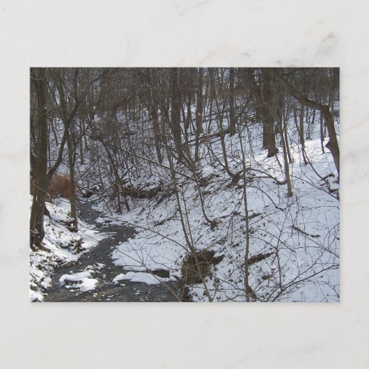 Carte Postale Ruisseau enneigé (Devant)