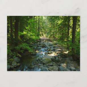 Carte Postale Ruisseau Laughingwater au Parc national du mont Ra