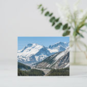 Carte Postale Ruisseau le long de l'Icefields Parkway Autoroute (Debout devant)