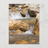 Carte Postale Ruisseau orageux au printemps (Devant)