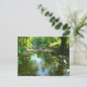 Carte Postale ruisseau près de canard creux (Debout devant)