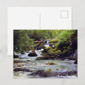 Carte Postale Ruisseau Rocky - Great Smoky Mountains (Devant / Derrière)