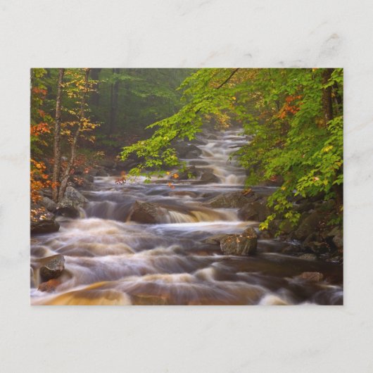 Carte Postale Ruisseaux le long du sentier des Appalaches (Devant)