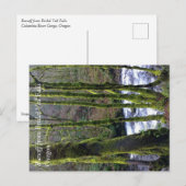 Carte Postale Ruissellement de Bridal Veil Falls, OR (Devant / Derrière)