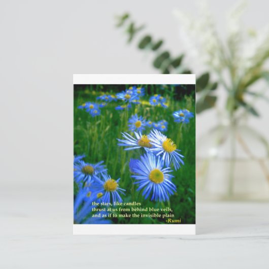 Carte Postale Rumi-bleu (Debout devant)