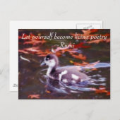 Carte Postale Rumi devient poésie vivante (Devant / Derrière)