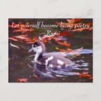 Rumi devient poésie vivante