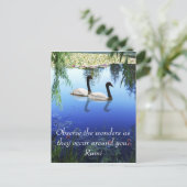 Carte Postale Rumi Les merveilles (Debout devant)