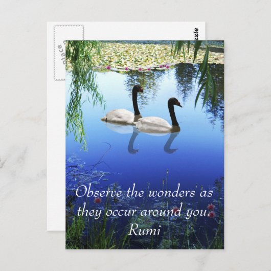 Carte Postale Rumi Les merveilles (Devant / Derrière)