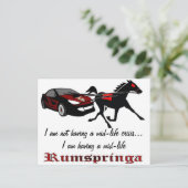 Carte Postale Rumspringa à mi-vie (Debout devant)