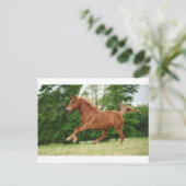 Carte Postale Run baby Run (Debout devant)