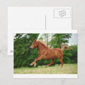 Carte Postale Run baby Run (Devant / Derrière)