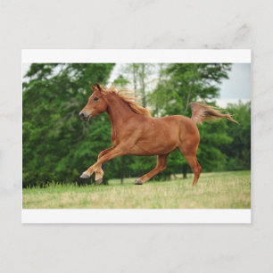 Carte Postale Run baby Run