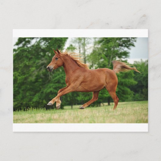 Carte Postale Run baby Run (Devant)