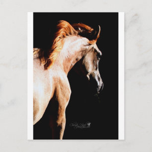Carte Postale Running horse