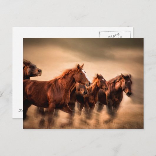 Carte Postale running horses, blur and flying manes (Devant / Derrière)
