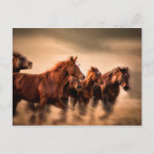 Carte Postale running horses, blur and flying manes (Devant)