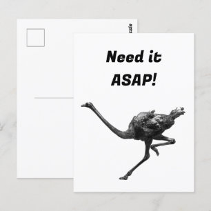 Carte Postale Running Ostrich Ink Sketch, Athlete Cool Oiseaux