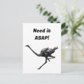 Carte Postale Running Ostrich Ink Sketch, Athlete Cool Oiseaux (Debout devant)