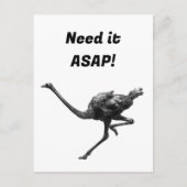 Carte Postale Running Ostrich Ink Sketch, Athlete Cool Oiseaux (Devant)